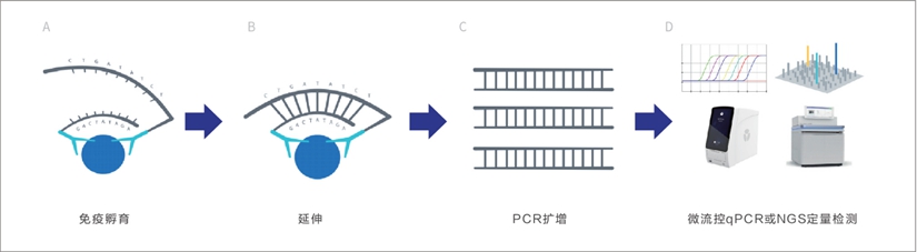 105326201.jpg 图片2.jpg